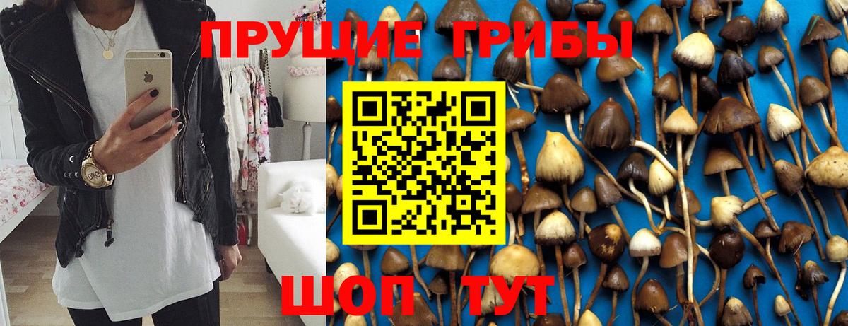 Галлюциногенные грибы мицелий Егорьевск