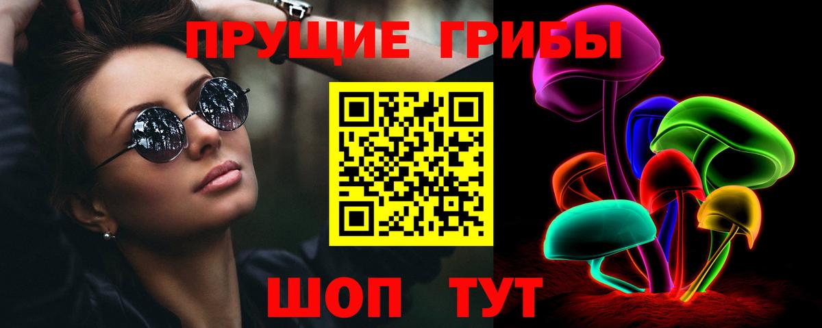 Псилоцибиновые грибы MAGIC MUSHROOMS  Вход с VPN  Егорьевск  Псилоцибиновые грибы Psilocybe 